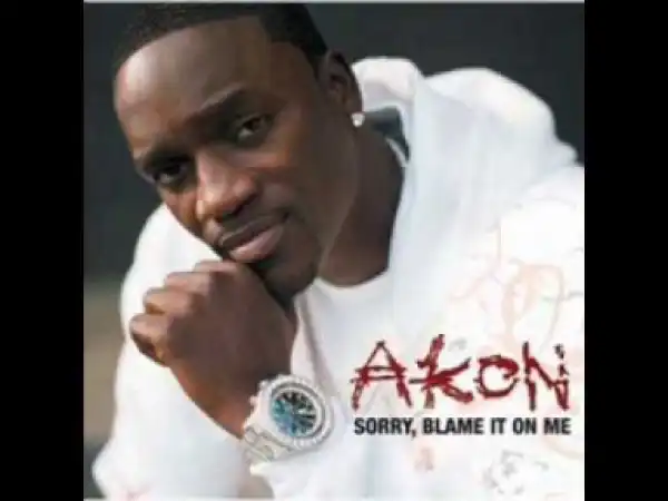 Akon - Sorry, Blame It On Me